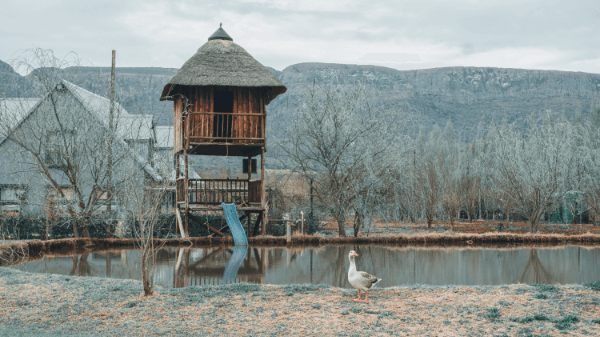 Karta podarunkowa Airbnb